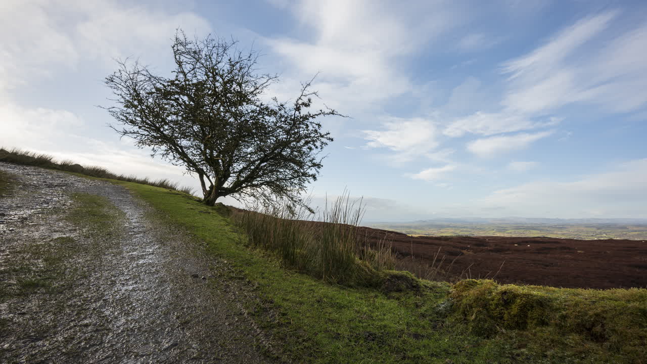 lapso de tiempo del paisaje rural y remoto de hierba, árboles y rocas durante el día en las colinas de carrowkeel en el condado de sligo, irlanda