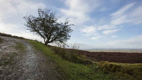 Time-lapse-of-rural-and-remote-landscape-of-grass,-trees-and-rocks-during-the-day-in-hills-of-Carrowkeel-in-county-Sligo,-Ireland