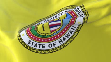 honolulu city flag, united states of america - loop