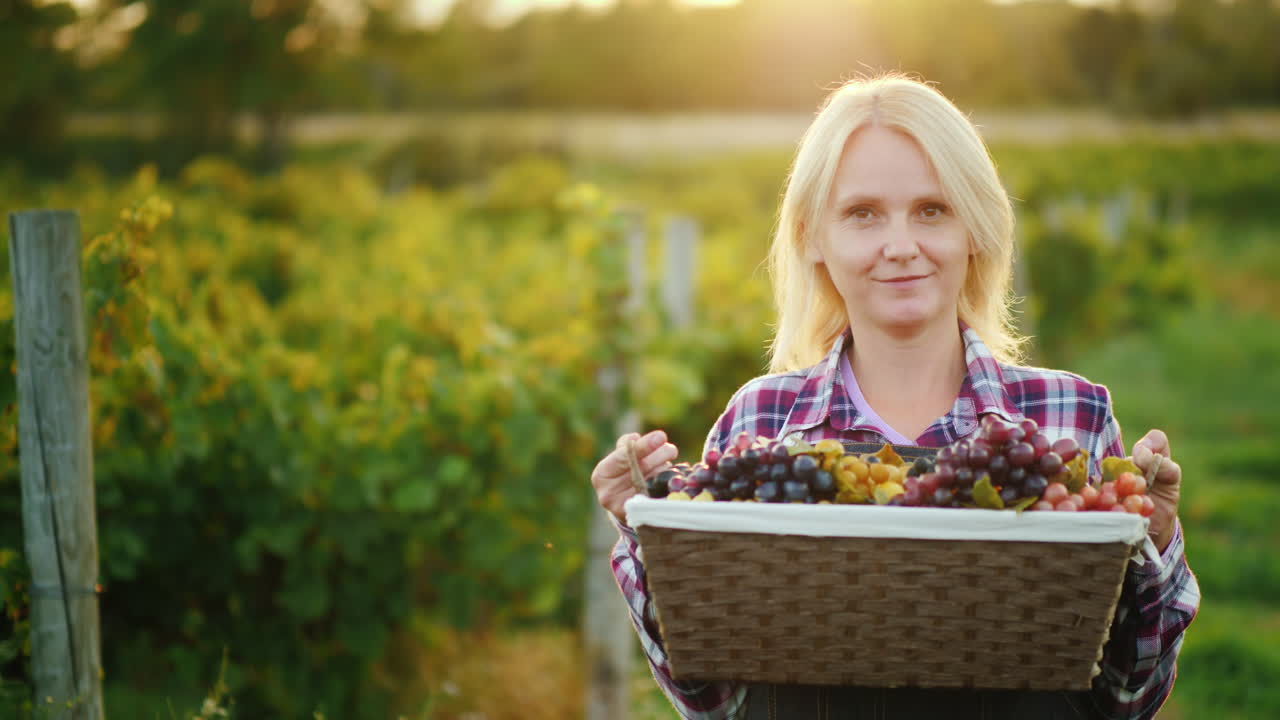 портрет привлекательного фермера с корзиной винограда улыбается смотрит в камеру