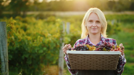 portrait of an attractive farmer with a basket of grapes smiles looks into the camera
