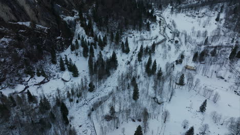 Vista-Aérea-De-Pájaro-Sobre-El-Paisaje-Cubierto-De-Nieve-Cubierto-De-Nieve-En-El-Bosque-Del-Valle-De-Val-Di-Mello-Con-Revelación-De-Inclinación-Lenta-Hacia-Arriba