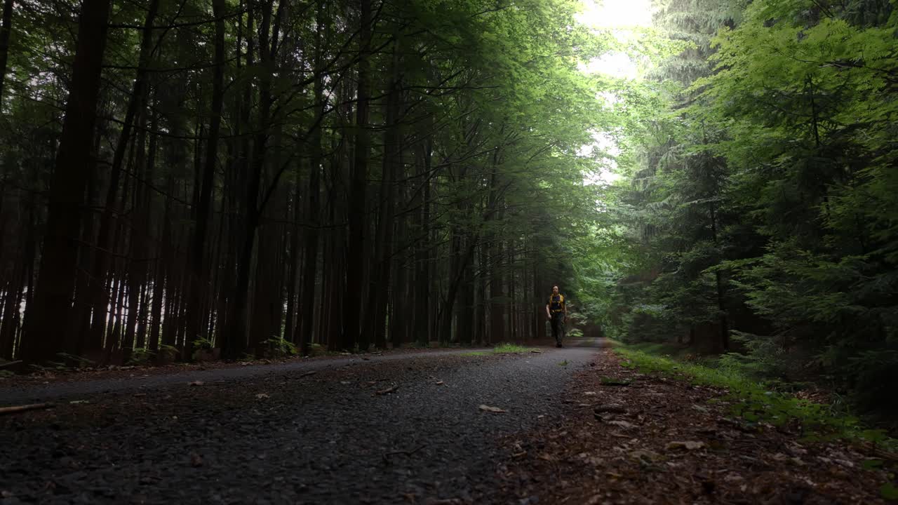 The traveler walks in a dark forest illuminated by the sun. Nature in the Czech Republic in summer. Solitude on the road