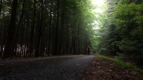 the traveler walks in a dark forest illuminated by the sun. nature in the czech republic in summer. solitude on the road