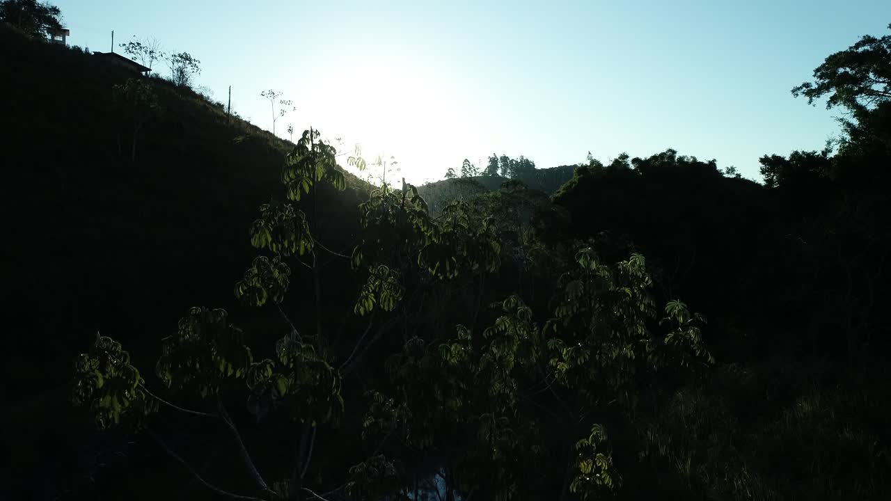 Drone rising near trees with sun in the background forming a beautiful flare, late afternoon in the countryside, peace, love, calm and tranquility, in 4K resolution