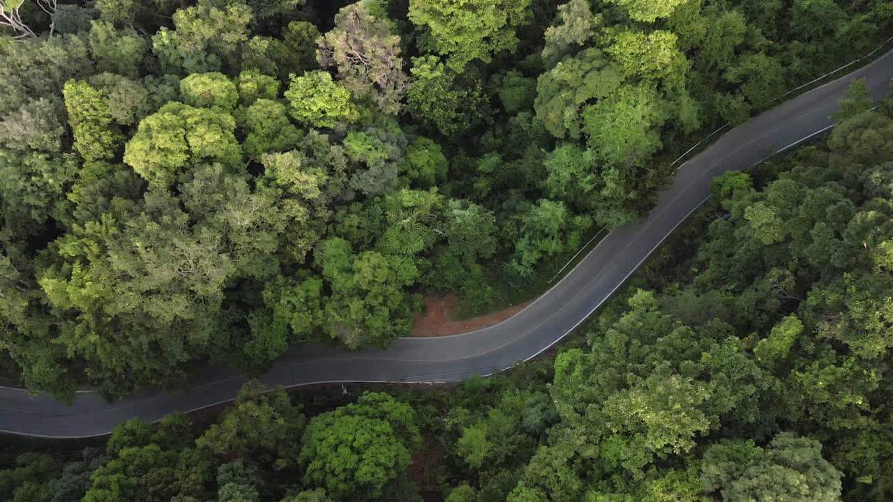 Aerial descending shot of tropical lush dense rain forest with road running trough forest