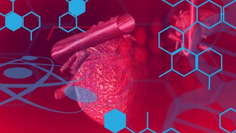 animation of chemical formulas, hear model and heart rate on red background