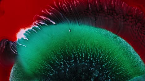 vivid red and green ink spreading in water with a stark white contrast, resembling a blooming flower