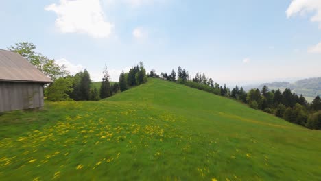 fpv drone flight over green mountains of switzerland with walking couple during hiking trip. wide shot. forest landscape on top of hills during cloudy day in summer.