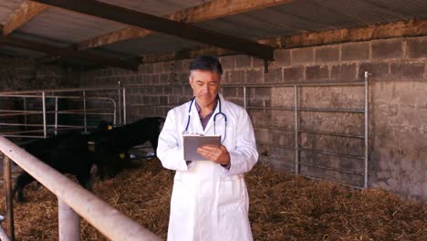 veterinary physician using digital tablet