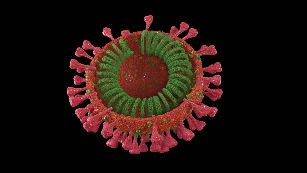 coronavirus rojo giratorio con canal alfa