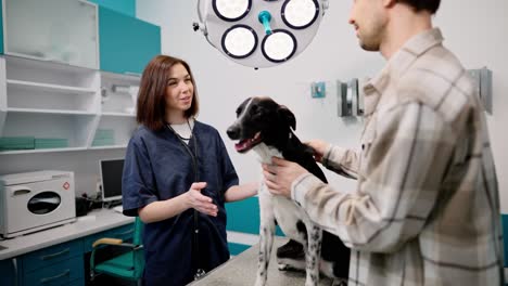 Confident-guy-veterinarian-in-a-plaid-shirt-together-with-his-black-and-white-dog-communicates-with-a-brunette-girl-veterinarian-in-a-blue-uniform-in-a-pet-clinic