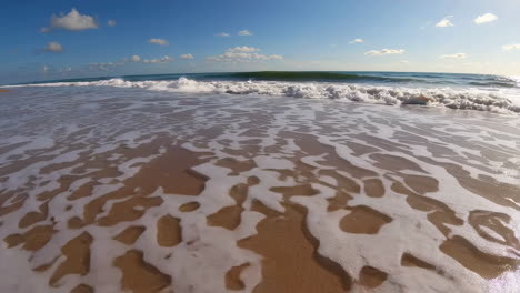 tropical beach scene