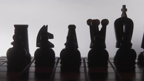 chess pieces in silhouette on board