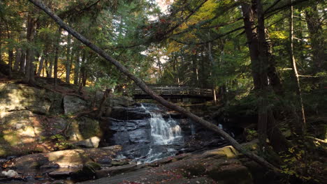 inglis falls conservation area waterfalls cascade crane shot