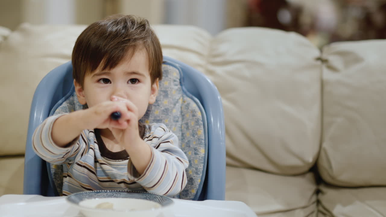 A cool little boy eats dumplings on his own. Sits in a high chair