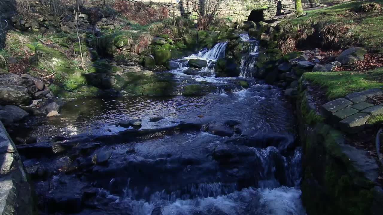 water in a creek in Christieparken in Bergen, Norway