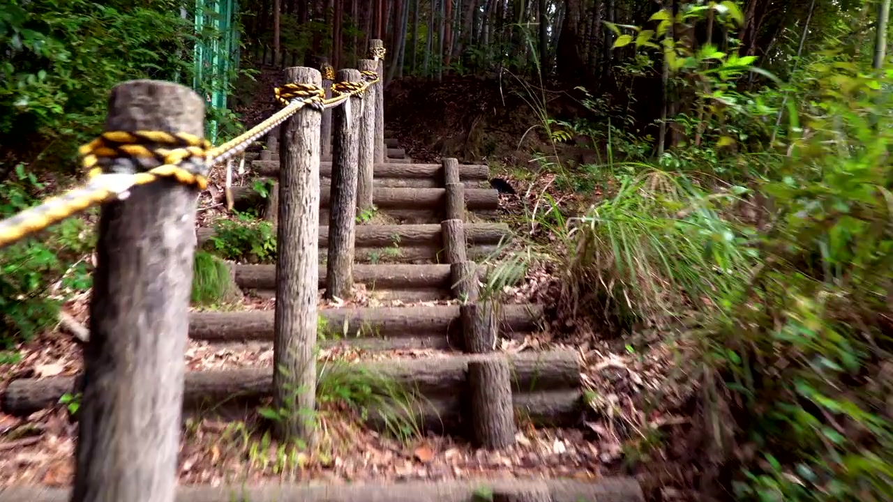 Walking up steps in Wampaku Kingdom nature park, near Osaka, Japan.