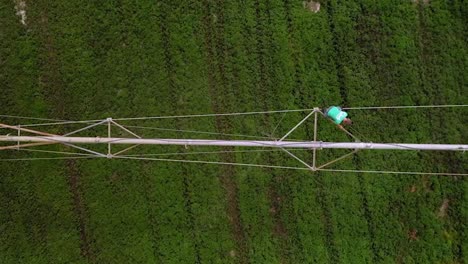 Campo-Agrícola-Regado-Por-Un-Sistema-De-Rociadores-De-Pivote---Antena-De-Arriba-Hacia-Abajo