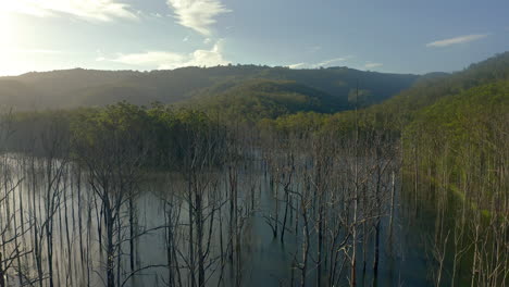 Encuéntrate-A-Ti-Mismo-En-La-Tranquilidad-De-La-Naturaleza