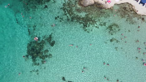 Aerial-overhead-footage-of-people-bathing-at-a-shallow-sandy-beach