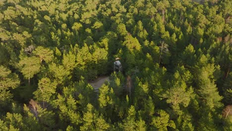 aerial birdseye view of modern boat shaped observation watchtower in the middle of pine tree forest, nordic woodland, forest trail, sunny evening, golden hour light, wide drone shot moving forward