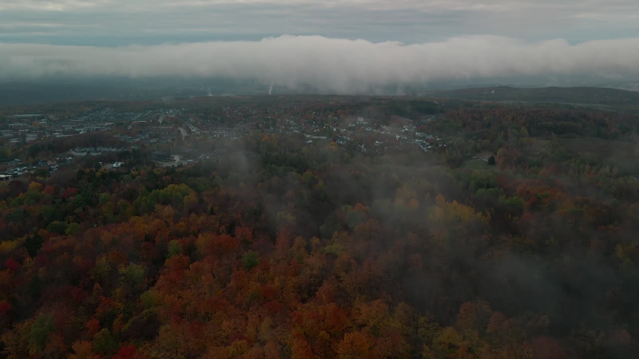 캐나다 퀘벡의 가을 나무 위에 안개