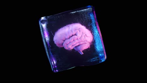 frozen brain in ice cube