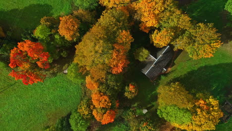 aerial - top view of cabin in forest on sunny autumn day