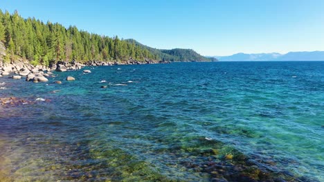 Aguas-Azules-Tranquilas-En-La-Costa-Del-Lago-Tahoe-Con-Olas-Ondeando-Pacíficamente-En-La-Playa-En-Las-Montañas-De-Sierra-Nevada-Con-Rocas-Y-Bosques-De-Pinos---Plano-General