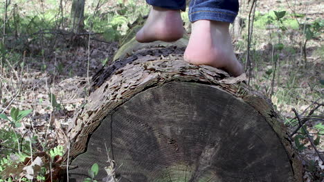 One-caucasian-person-walk-barefoot-on-fallen-tree-trunk-in-forest