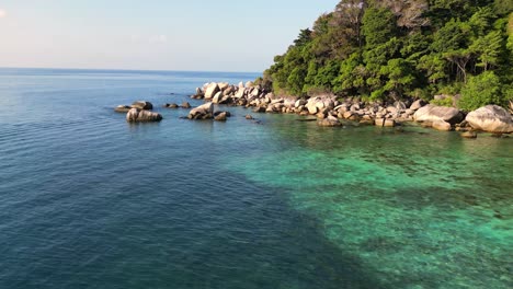 seychelles beach palm trees smooth rocks