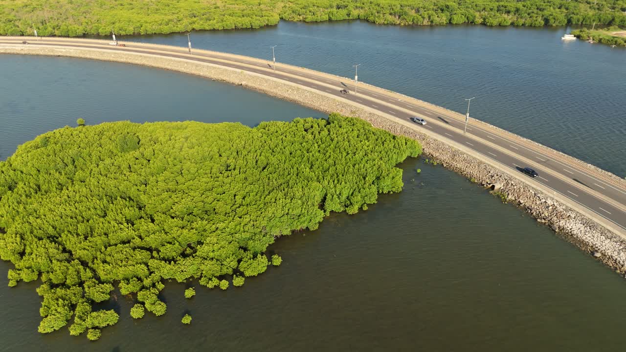 Aerial 4K drone shot of a coastal road surrounded by lush green mangroves and blue water in the Philippines. Ideal for travel, nature, transportation, and environmental projects