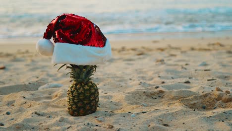 beach in curacao - pineapple wearing red christmas hat in the sandy shore with ocean waves in the background - close-up shot