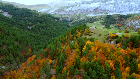 Luftaufnahme,-Die-In-Die-Herbstlichen-Bäume-Im-Bisaurin-Gipfel-Fliegt