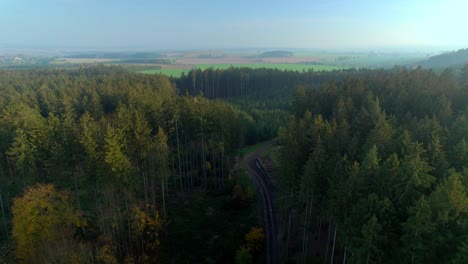 Wald-Und-Hügel-Morgens-Bei-Nebligem-Wetter