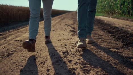 los agricultores zapatos caminando cerca de la carretera de tierra. los trabajadores agrícolas inspeccionan la ganadería