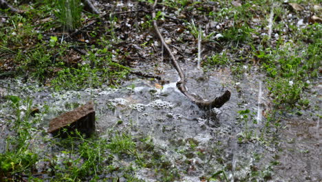 Hail-and-rain-in-Texas