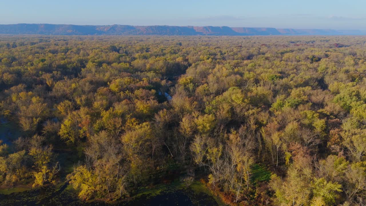 Tranquilla scena autunnale di isole boscose nelle zone umide del fiume Mississippi