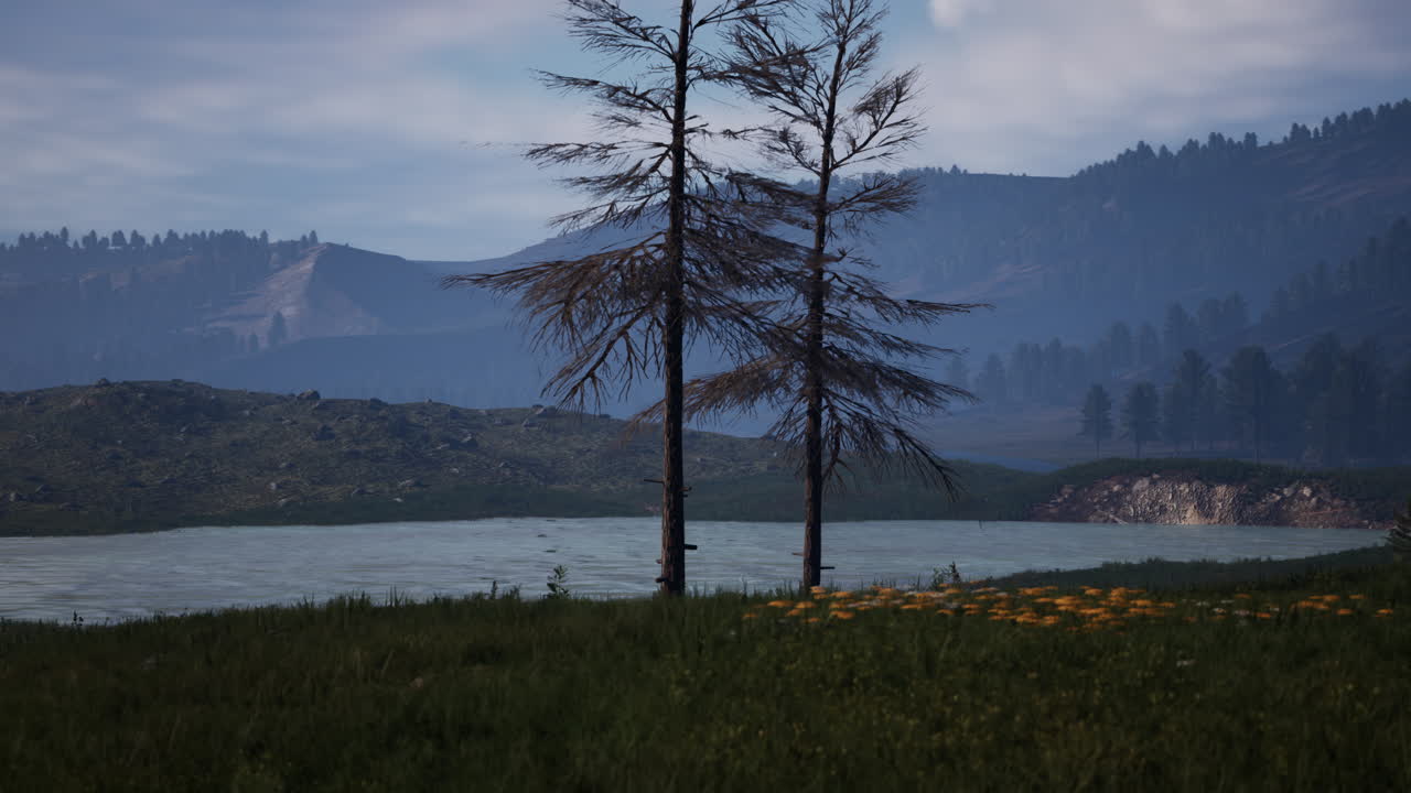 paisaje de verano en las montañas de los cárpatos