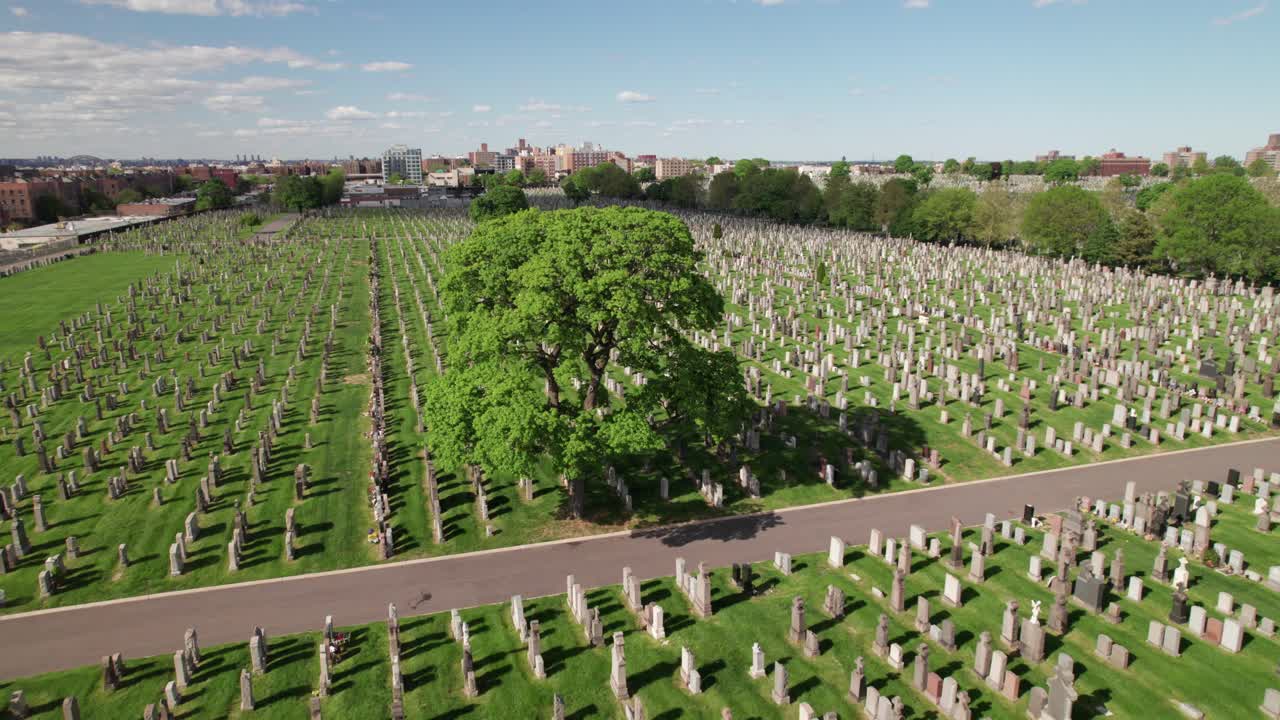 un enorme cementerio verde en queens, nueva york.