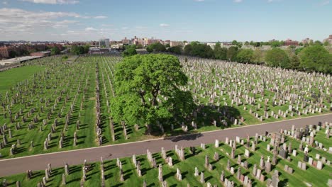 huge green cemetery in queens, nyc