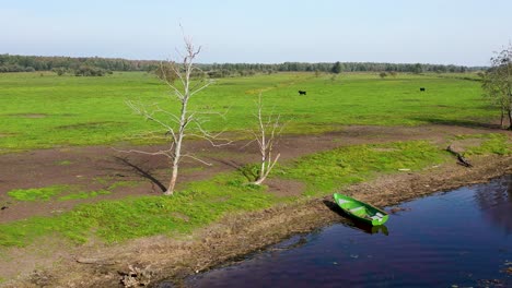 A-picturesque-drone-photograph-showcasing-a-fishing-vessel-moored-at-the-shoreline,-complemented-by-a-distant-group-of-bison