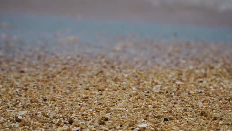 plastic pollution on beach shore. close-up