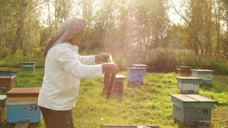beekeeper inspecting honeycomb at an apiary
