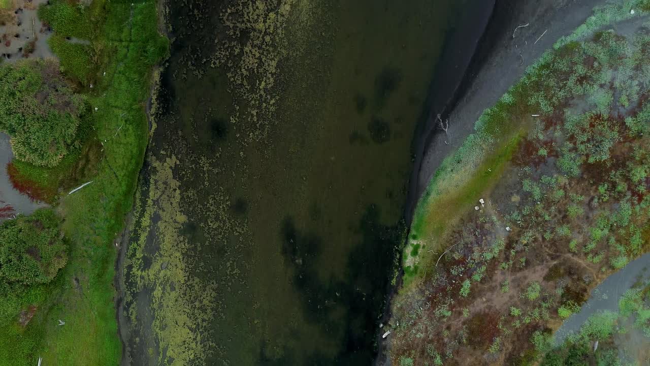 Filmatisk topp-ned droneopptak som beveger seg over den slyngende kystvåtmarken og grønne vegetasjonen i La Vega de Pupuya, Chile.