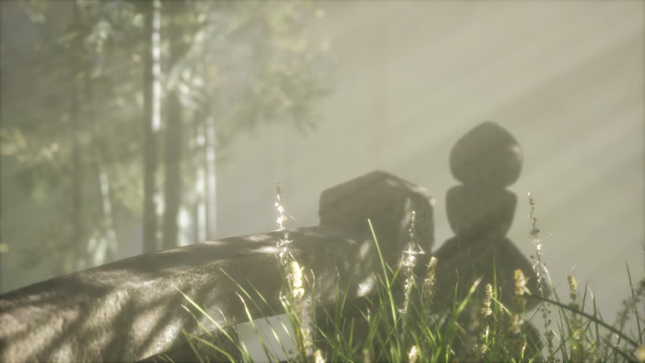 일본 대나무 숲 과 녹색 초원 잔디 와 자연 빛