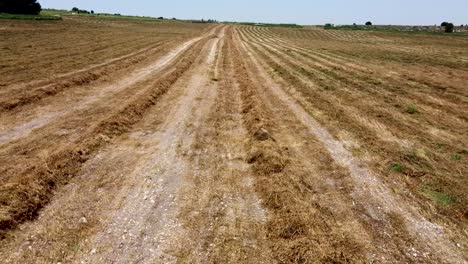 Aerial-fast-backwards-drone-shot-of-a-yellow-dry-plowed-field