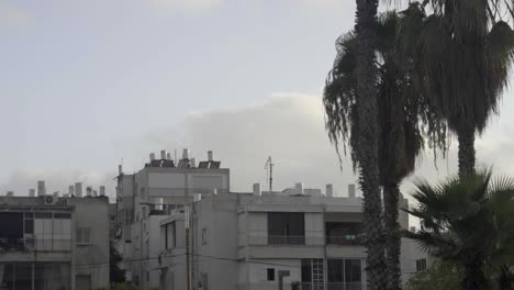 view on a tel aviv building in a quiet neighborhood