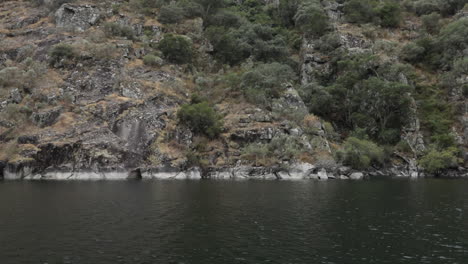 rocky shoreline with green shrubs and calm water in a peaceful natural setting during the day